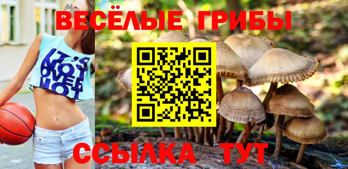 Псилоцибиновые грибы мухоморы Вичуга
