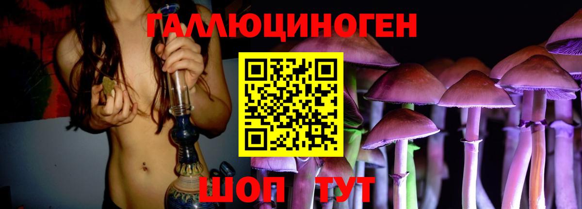 Псилоцибиновые грибы Psilocybine cubensis  Вход с VPN  Вичуга 